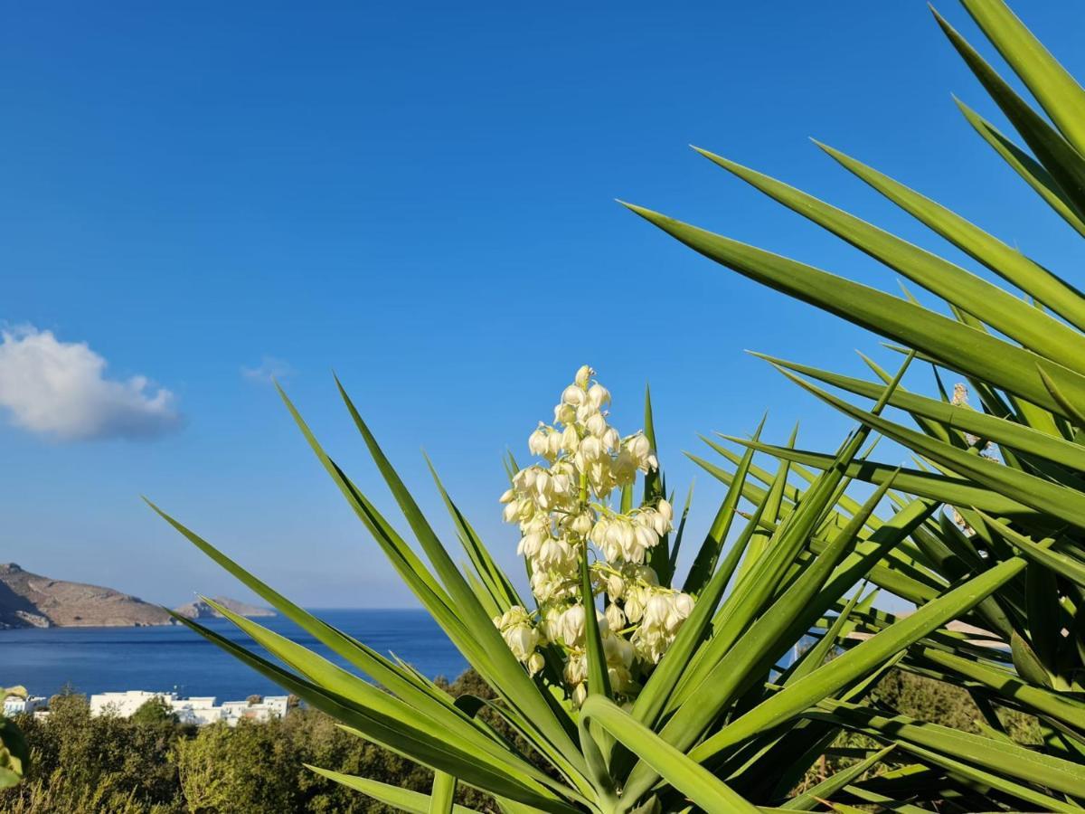 Tilos Villa Livadia  Dış mekan fotoğraf