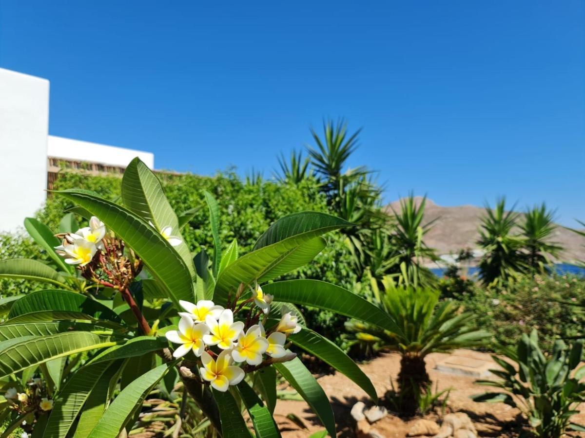 Tilos Villa Livadia  Dış mekan fotoğraf
