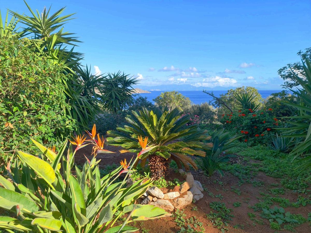 Tilos Villa Livadia  Dış mekan fotoğraf